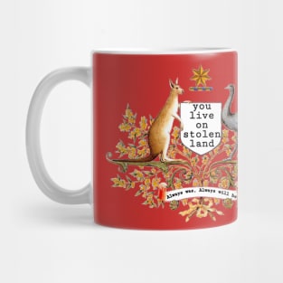 You live on stolen land Mug